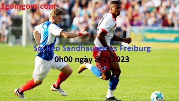 Sandhausen vs Freiburg, 0h00 ngày 8/2/2023 Cúp Quốc Gia Đức